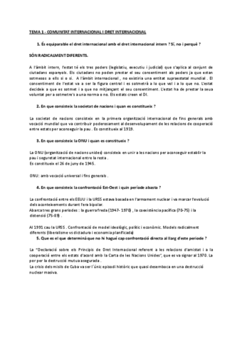 Preguntes-DIP-COMPLETAS.pdf