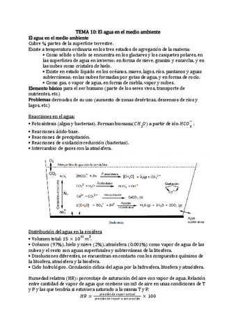 Apuntes-tema-10.pdf