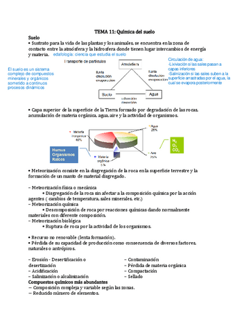 Apuntes-tema-11.pdf