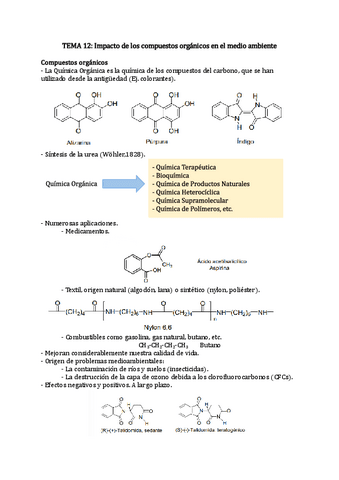 Apuntes-tema-12.pdf