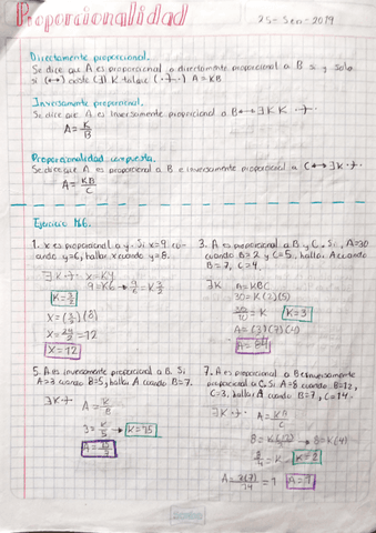 Proporcionalidad.pdf
