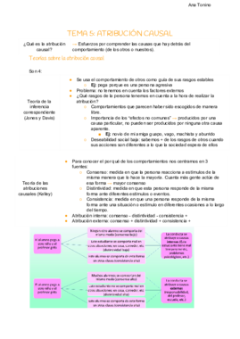 TEMA 5- ATRIBUCIÓN CAUSAL.pdf