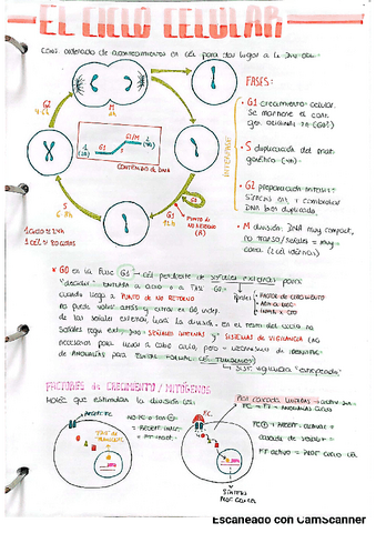 Biologia-celular-y-del-desarrollo.pdf
