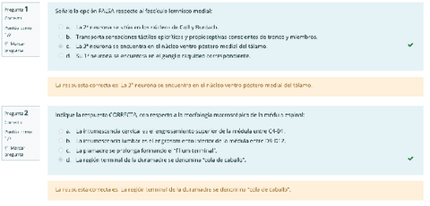 2021-2Q-ORDINARIO-NEUROANATOMIA.pdf