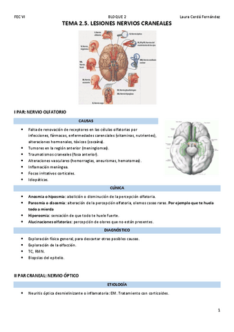 TEMA-2.5.-LESIONES-NERVIOS-CRANEALES.pdf