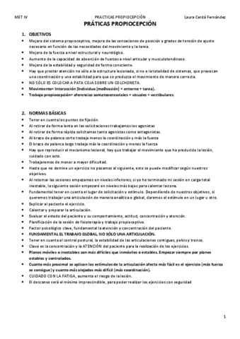 PRACTICAS-PROPIOCEPCION-MET-IV-DAVID.pdf