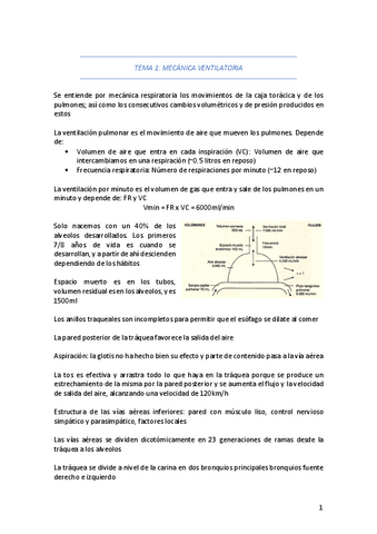 FISIO-RESPI--SUELO-PELVICO.pdf