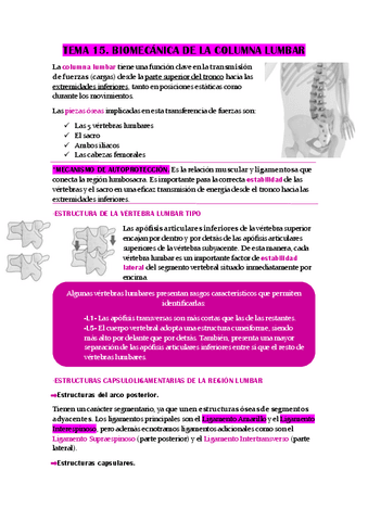TEMA-15.-BIOMECANICA-DE-LA-COLUMNA-LUMBAR.pdf