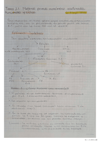 Materias-PrimasmonomerosInsaturados.pdf