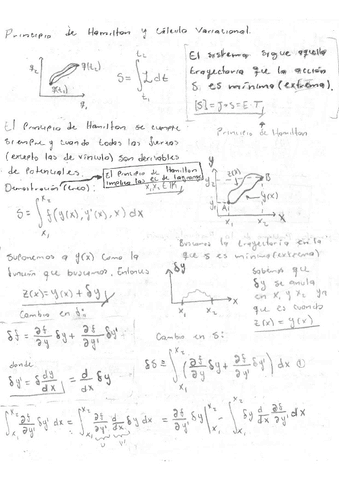 2.-Principio-de-Hamilton.-Calculo-variacional.-Teoria-y-ejemplo..pdf