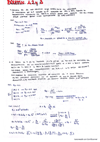 Boletines-resueltos.pdf