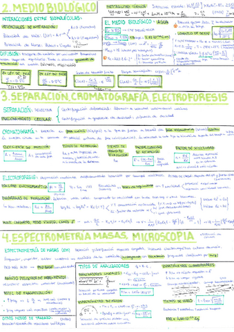 Formulario-Bloque-1.pdf