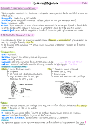 TEMA-4-Tejido-Cartilaginoso.pdf