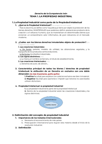 DERECHO-COMPETENCIA-ivan.pdf