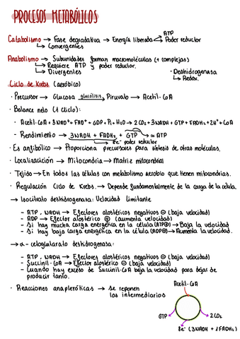 Bioquimica-Resumen.pdf