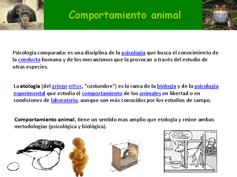 coportament-animal-2023.pdf