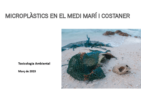 Practica-microplastics.pdf