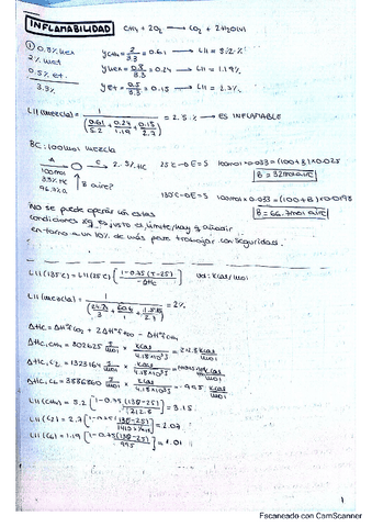EJERCICIOS-INFLAMABILIDAD.pdf