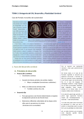 TEMA 2 NEUROPSICOLOGÍA.pdf