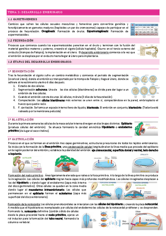 Tema Desarrollo Embrionario Pdf