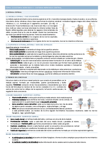 Tema 13 Sistema Nervioso Ii Pdf