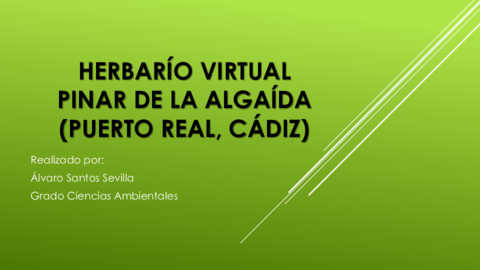 Herbarío virtual.pdf