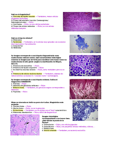 Examen Oncología.pdf