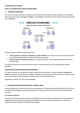 Tema-3-patologias.pdf