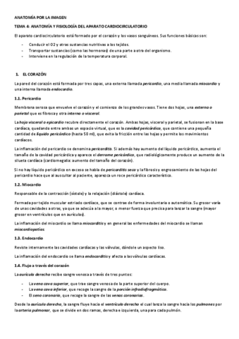 Tema-4-anatomia.pdf