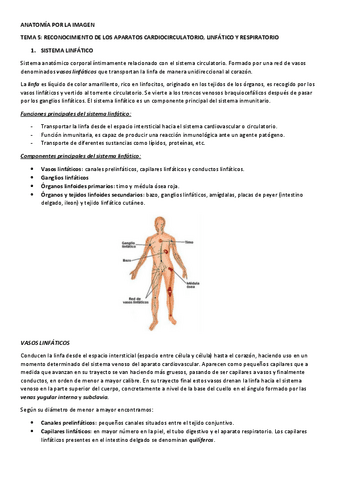 tema-5-anatomia-1.pdf