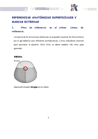 Hitos-y-proyecciones.pdf