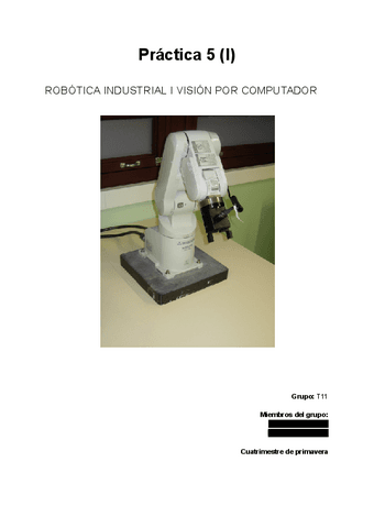 Practica 5(I) RIVC.pdf