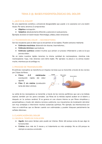 TEMA-3-BASES-FISIOPATOLOGICAS-DEL-DOLOR.pdf