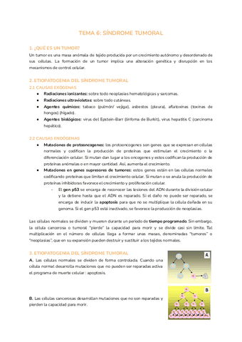 TEMA-6-SINDROME-TUMORAL.pdf