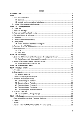 Apunts-examen-visio.pdf