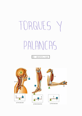 Torques-y-palancas.pdf