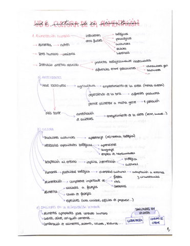 Ud-6.pdf