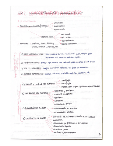 Ud-2.pdf