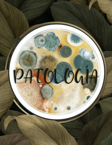 vitaminas-hidrosolubles.pdf