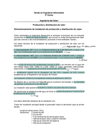 Ejercicio-Instalacion-Produccion-y-Distribucion-de-vapor.pdf