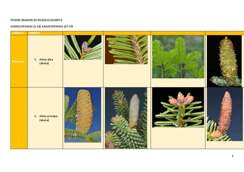 Primer-Examen-Reconocimiento.pdf