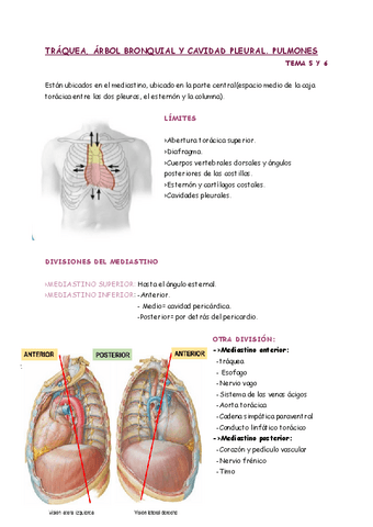 APUNTES-T.5-Y-6.pdf