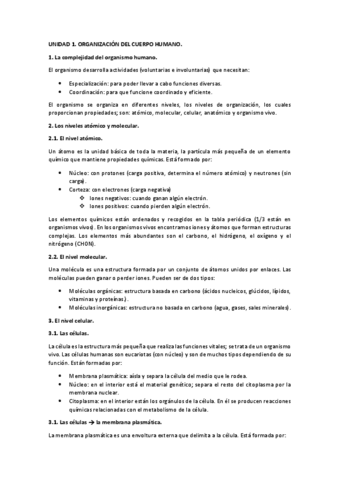 UNIDAD-1-RESUMEN.pdf