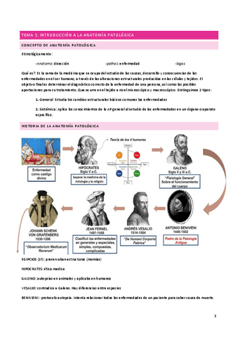 Apuntes-anatopato-1-3.pdf