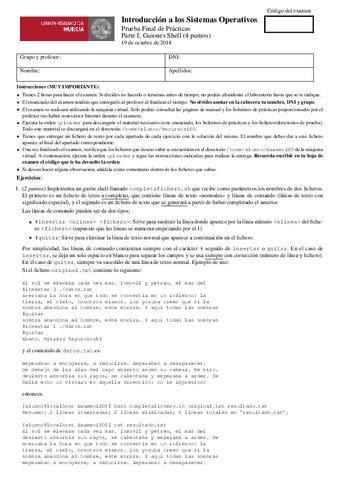 examen-2019-practicas-enero-bash.pdf