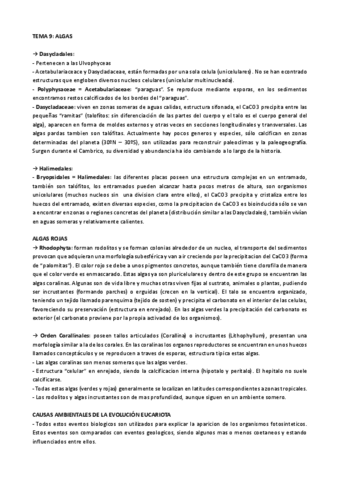 teoria-de-paleobotanica.pdf