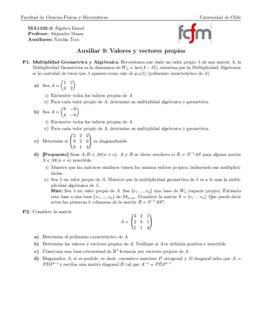 Aux09Pauta.pdf