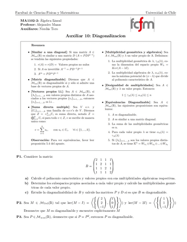 Aux10Pauta.pdf