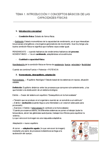 METODOLOGIA-TODO-APUNTES.pdf