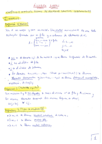 Algebra-Lineal-tema-1-teoria.pdf